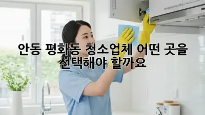 안동 평화동 청소업체, 어떤 곳을 선택해야 할까요?